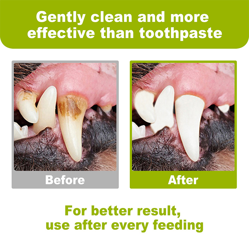 dental wipes for cats dental wipes for cats